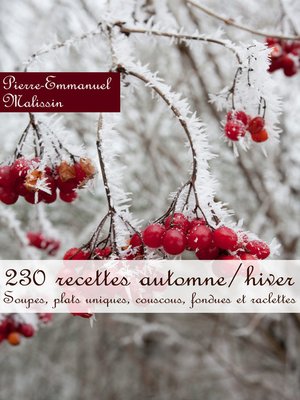 cover image of 230 recettes automne/hiver (Soupes, plats uniques, couscous, fondues et raclettes